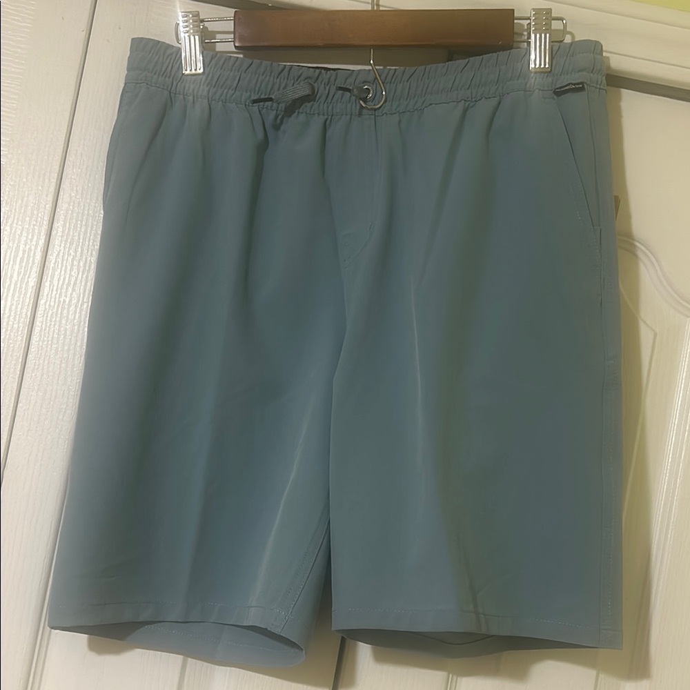 Quicksilverver Amphibian shorts
